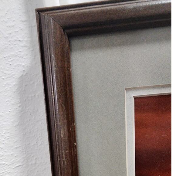 Thomas D. Mangelsen Collector Edition Print of Sandhill Cranes Images of Nature - Picture 13 of 15